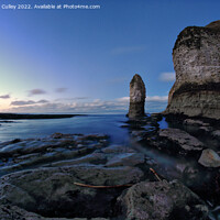 Buy canvas prints of Flamborough Head, East Riding of Yorkshire by Gregory Culley