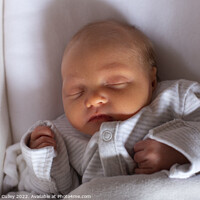 Buy canvas prints of Newborn baby sleeping in moses basket by Gregory Culley