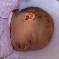 Buy canvas prints of Sleeping newborn baby girl wearing a pink sleepsui by Gregory Culley