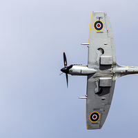 Buy canvas prints of  Spitfire pass by Gregory Culley