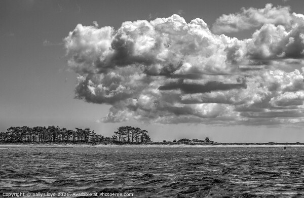 Cumulus at Wells next the Sea Picture Board by Sally Lloyd