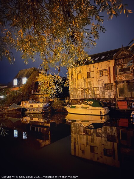Nighttime on the River Wensum Picture Board by Sally Lloyd