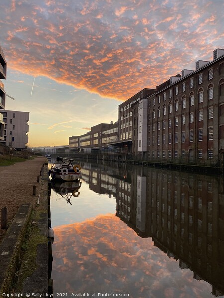 Sunrise on the Wensum  Picture Board by Sally Lloyd