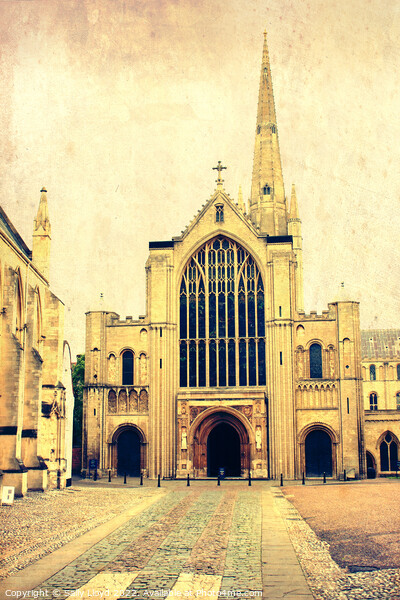 Norwich Cathedral  Picture Board by Sally Lloyd