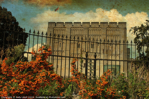 Norwich Castle - Vintage style autumn view.  Canvas Print by Sally Lloyd