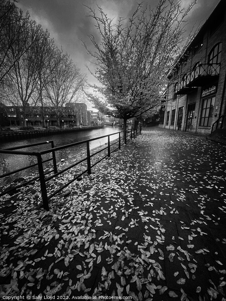 Autumn on Riverside Norwich Picture Board by Sally Lloyd