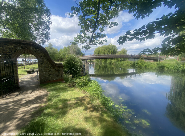 Jarrold Bridge o'er the Wensum, Norwich Picture Board by Sally Lloyd
