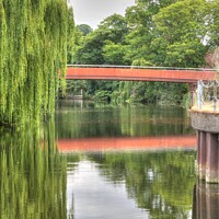 Buy canvas prints of View of the Jarrold Bridge and Willows, Norwich by Sally Lloyd