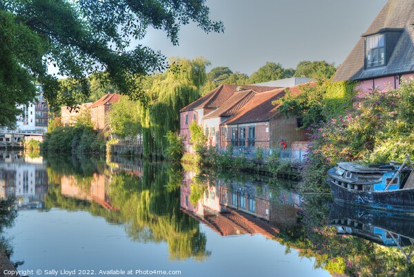 River Wensum Norwich Picture Board by Sally Lloyd