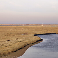 Buy canvas prints of Blakeney view across the marshes  by Sally Lloyd