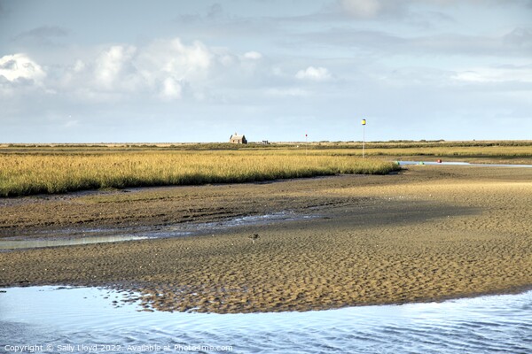 A golden view to Blakeney Watch House, Norfolk Picture Board by Sally Lloyd