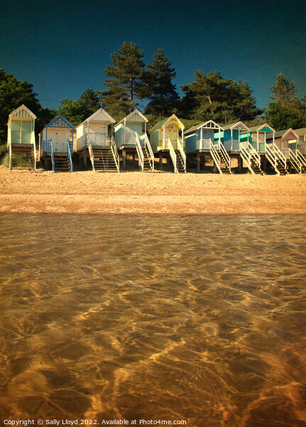 Beach Huts from the water at Wells-next-the-sea Picture Board by Sally Lloyd