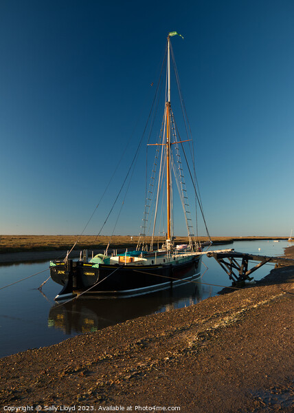 The Juno in January at Blakeney Quay, Norfolk Picture Board by Sally Lloyd