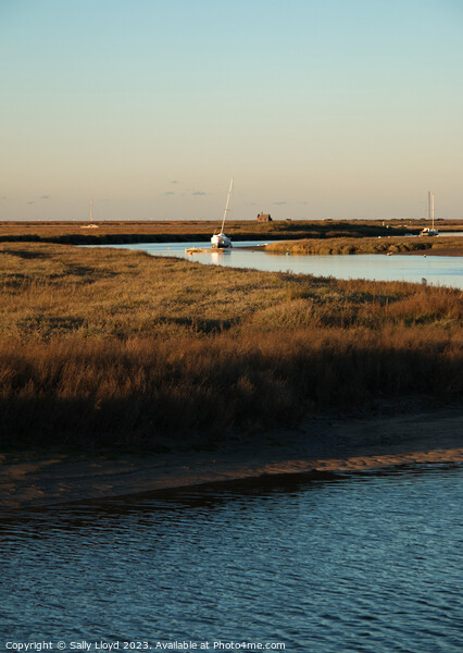 Golden Blakeney Afternoon Picture Board by Sally Lloyd