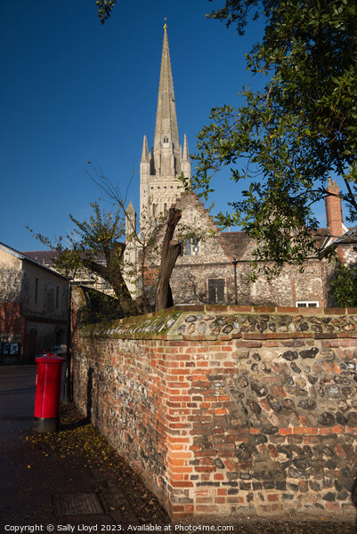 Norwich Cathedral and red post box Picture Board by Sally Lloyd