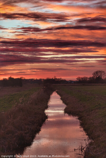 Majestic Sunset Reflection over St Benets Abbey Picture Board by Sally Lloyd