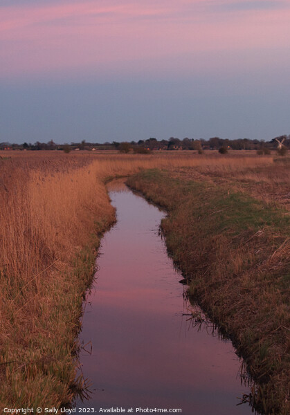 Serene Pink Sunset at Norfolk Stream Picture Board by Sally Lloyd