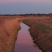 Buy canvas prints of Serene Pink Sunset at Norfolk Stream by Sally Lloyd