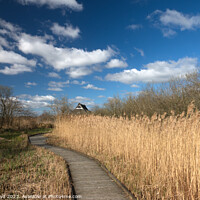 Buy canvas prints of Serenity at Ranworth Nature Trail by Sally Lloyd