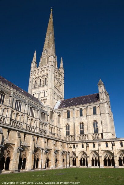 Majestic Norwich Cathedral Picture Board by Sally Lloyd