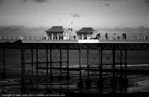 Cromer Pier a moody mono view  Picture Board by Sally Lloyd