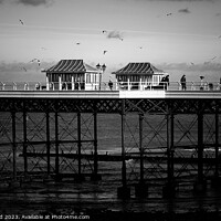 Buy canvas prints of Cromer Pier a moody mono view  by Sally Lloyd