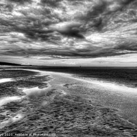 Buy canvas prints of Wild and free at Holkham Beach, Norfolk by Sally Lloyd