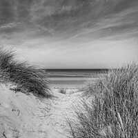 Buy canvas prints of Through the Dunes at Holkham Beach, Norfolk by Sally Lloyd