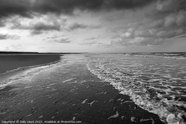 Winter tide at Holkham Beach Norfolk Picture Board by Sally Lloyd