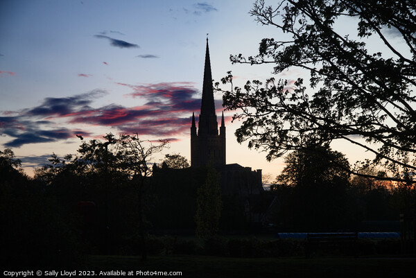 Norwich Cathedral Silhouette at sunset Picture Board by Sally Lloyd