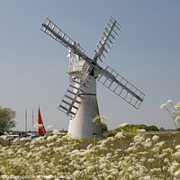 Buy canvas prints of Thurne Mill Late Spring, Norfolk by Sally Lloyd
