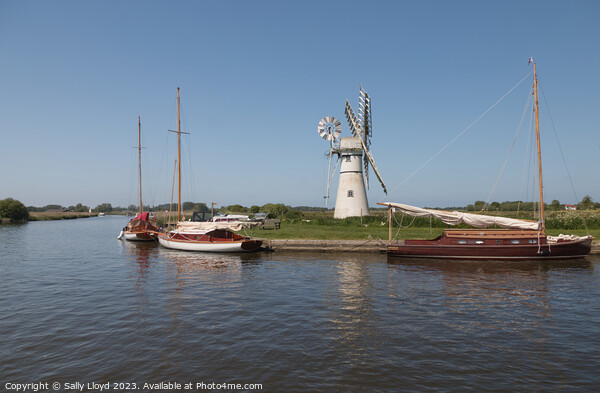 Thurne Mill and Sailing Boats, Norfolk Picture Board by Sally Lloyd