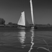 Buy canvas prints of River Cruisers racing at Thurne, Norfolk by Sally Lloyd