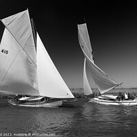 Buy canvas prints of River Cruisers racing at Acle Regatta in Norfolk by Sally Lloyd