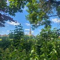 Buy canvas prints of Norwich Cathedral, a summery view by Sally Lloyd