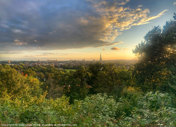 Sunset view of Norwich from Kett's Heights Picture Board by Sally Lloyd