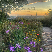 Buy canvas prints of Wildflower sunset view of Norwich by Sally Lloyd
