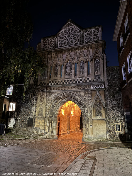 Ethelbert Gate at Norwich Cathedral Picture Board by Sally Lloyd