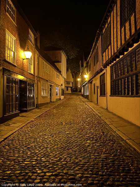 Elm Hill on a Golden Autumn Night Picture Board by Sally Lloyd