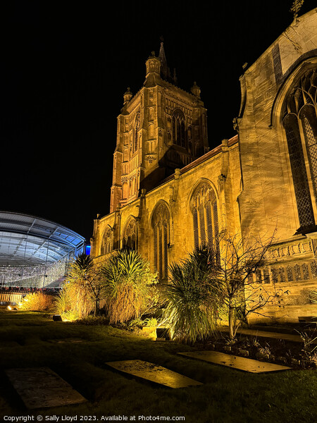 St Peter Mancroft & The Forum Norwich at Night Picture Board by Sally Lloyd