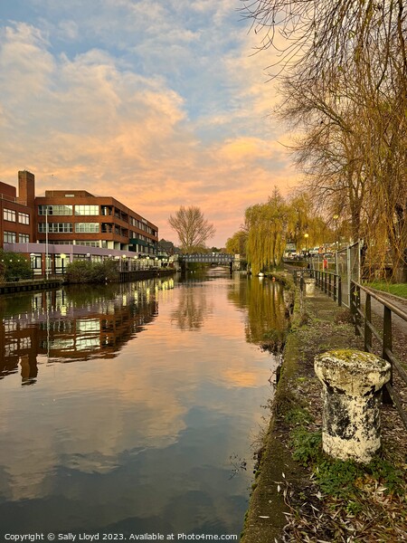 River Wensum Norwich towards Foundry Bridge Picture Board by Sally Lloyd