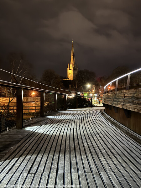 Norwich Cathedral from Jarrold Bridge at Night Picture Board by Sally Lloyd
