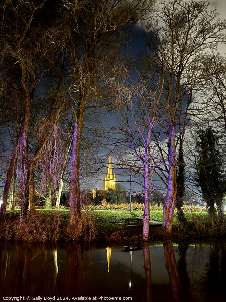 Norwich Cathedral at night through lilac trees Picture Board by Sally Lloyd