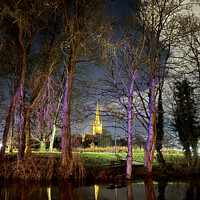 Buy canvas prints of Norwich Cathedral at night through lilac trees by Sally Lloyd