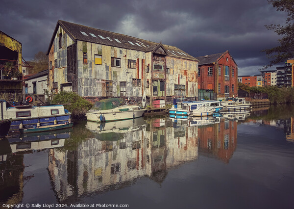 Old Buildings along the River Wensum, Norwich Picture Board by Sally Lloyd