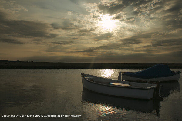 Blakeney boats sunset  Picture Board by Sally Lloyd
