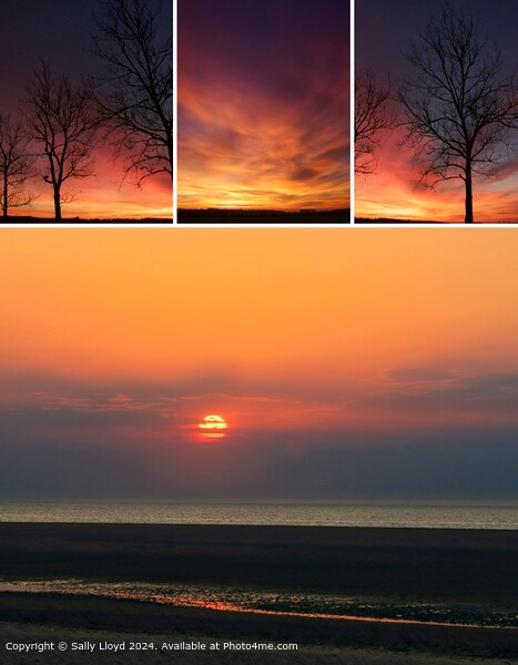 Holkham Multi-Tone Sunset Picture Board by Sally Lloyd