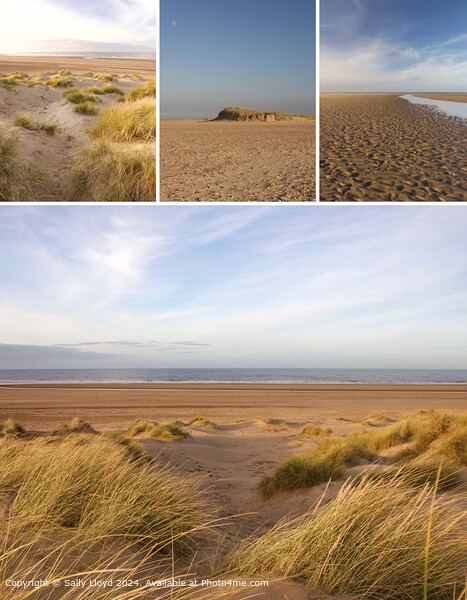 Holkham Beach Dunes Sky Picture Board by Sally Lloyd