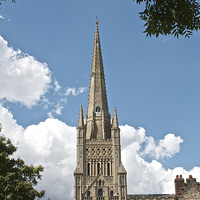 Buy canvas prints of Norwich Cathedral by Sally Lloyd
