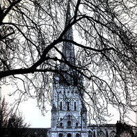 Buy canvas prints of  Norwich Cathedral Norfolk UK by Sally Lloyd